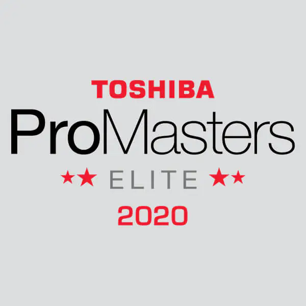 Doceo Recognized by Toshiba